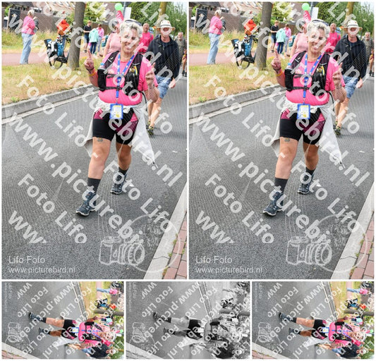 Evenement foto: Nijmeegse Vierdaagse 675