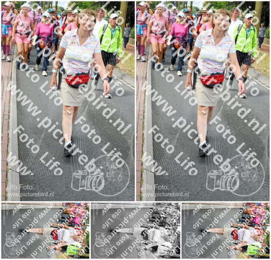 Evenement foto: Nijmeegse Vierdaagse 675