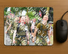 Evenement foto: Nijmeegse Vierdaagse 675