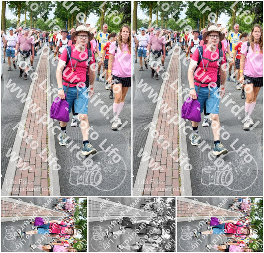 Evenement foto: Nijmeegse Vierdaagse 675