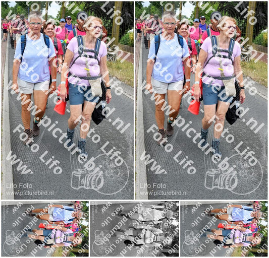 Evenement foto: Nijmeegse Vierdaagse 675