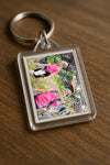 Evenement foto: Nijmeegse Vierdaagse 675
