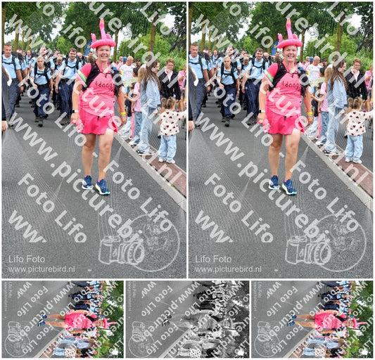 Evenement foto: Nijmeegse Vierdaagse 674