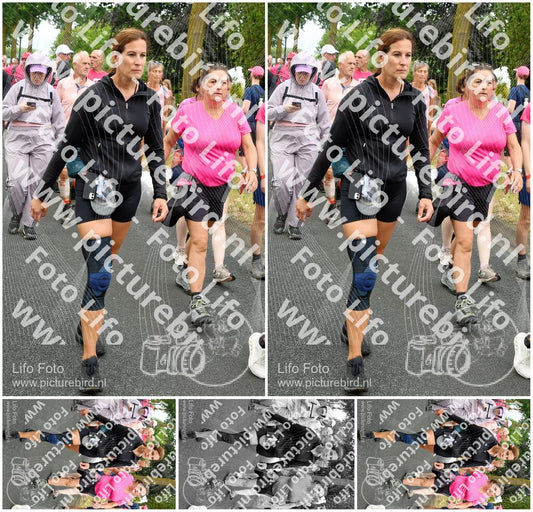 Evenement foto: Nijmeegse Vierdaagse 674