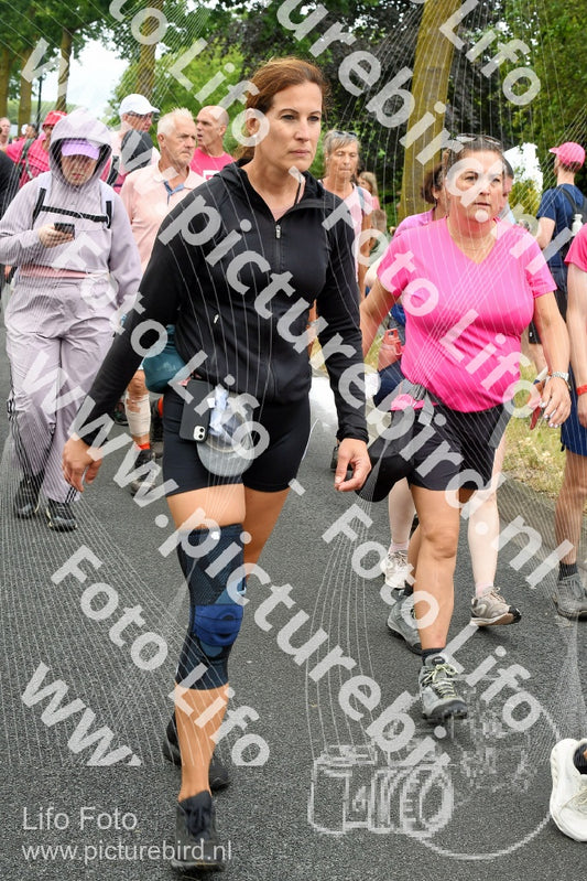Evenement foto: Nijmeegse Vierdaagse 674