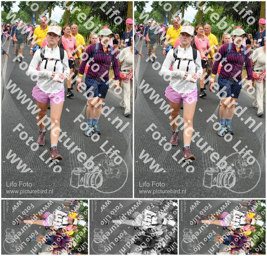 Evenement foto: Nijmeegse Vierdaagse 674