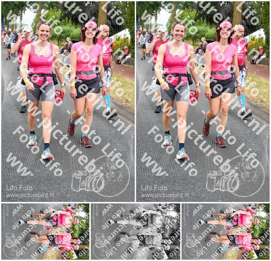 Evenement foto: Nijmeegse Vierdaagse 674