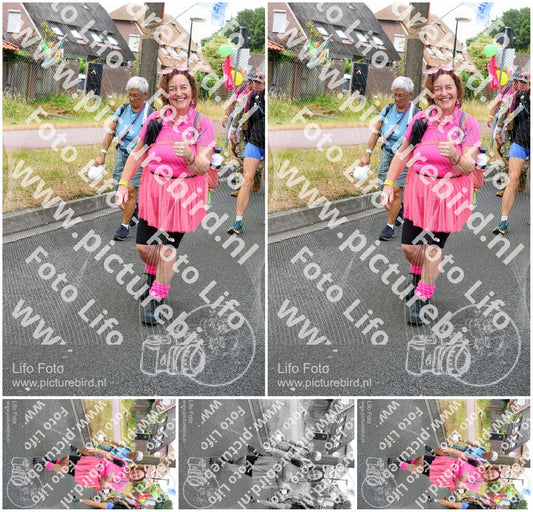 Evenement foto: Nijmeegse Vierdaagse 674