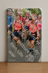 Evenement foto: Nijmeegse Vierdaagse 674