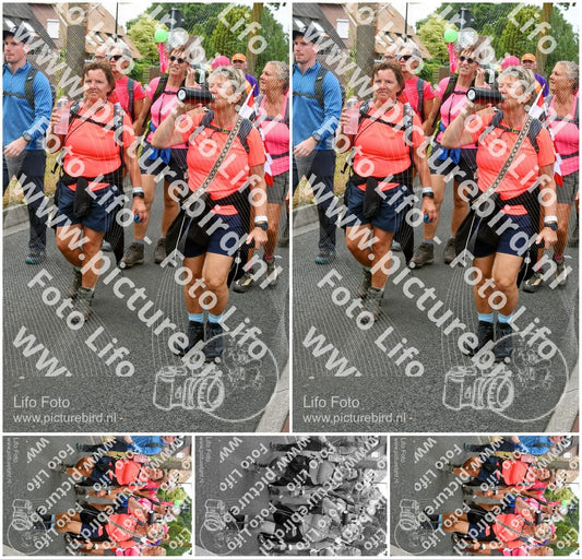 Evenement foto: Nijmeegse Vierdaagse 674