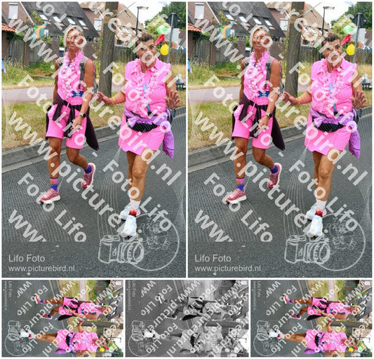 Evenement foto: Nijmeegse Vierdaagse 674