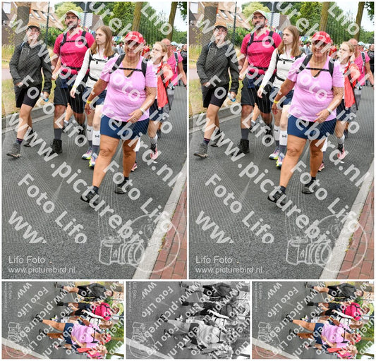 Evenement foto: Nijmeegse Vierdaagse 674