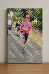 Evenement foto: Nijmeegse Vierdaagse 674