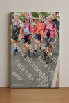 Evenement foto: Nijmeegse Vierdaagse 674