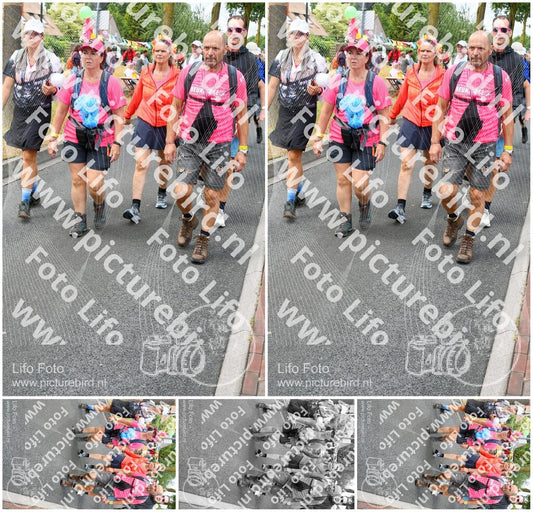 Evenement foto: Nijmeegse Vierdaagse 674
