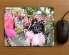 Evenement foto: Nijmeegse Vierdaagse 674