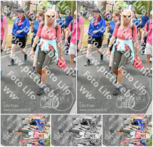 Evenement foto: Nijmeegse Vierdaagse 674