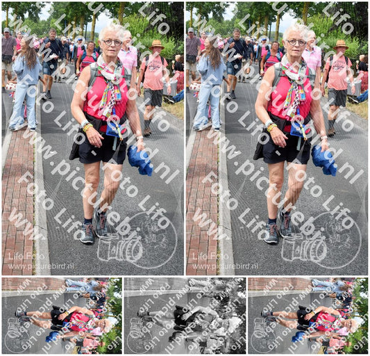 Evenement foto: Nijmeegse Vierdaagse 674
