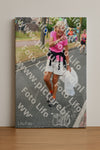 Evenement foto: Nijmeegse Vierdaagse 674