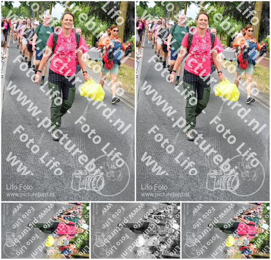Evenement foto: Nijmeegse Vierdaagse 674