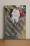 Evenement foto: Nijmeegse Vierdaagse 673