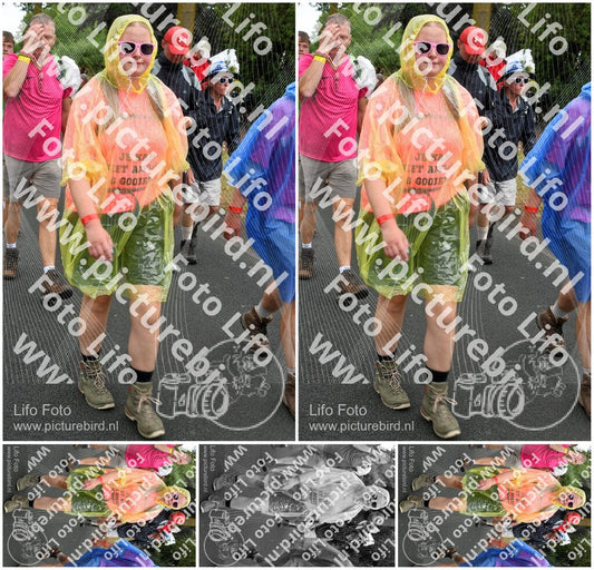 Evenement foto: Nijmeegse Vierdaagse 673