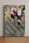 Evenement foto: Nijmeegse Vierdaagse 673