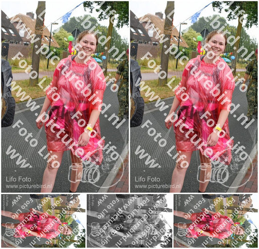 Evenement foto: Nijmeegse Vierdaagse 673