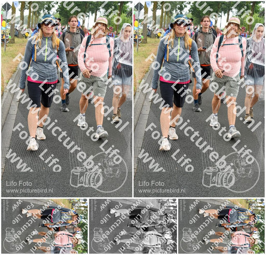 Evenement foto: Nijmeegse Vierdaagse 673