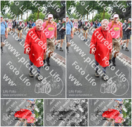 Evenement foto: Nijmeegse Vierdaagse 673