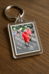 Evenement foto: Nijmeegse Vierdaagse 673