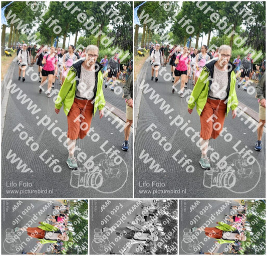 Evenement foto: Nijmeegse Vierdaagse 673