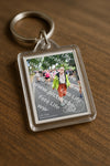 Evenement foto: Nijmeegse Vierdaagse 673