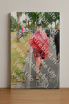 Evenement foto: Nijmeegse Vierdaagse 673