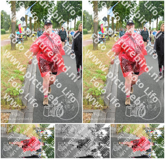 Evenement foto: Nijmeegse Vierdaagse 673