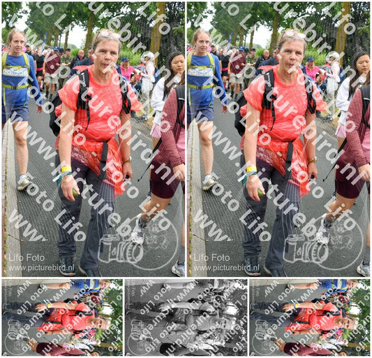 Evenement foto: Nijmeegse Vierdaagse 673