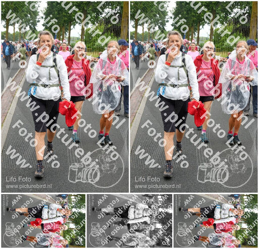 Evenement foto: Nijmeegse Vierdaagse 673