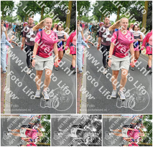 Evenement foto: Nijmeegse Vierdaagse 673