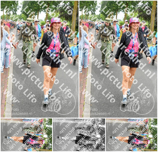 Evenement foto: Nijmeegse Vierdaagse 673
