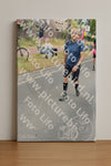 Evenement foto: Nijmeegse Vierdaagse 672