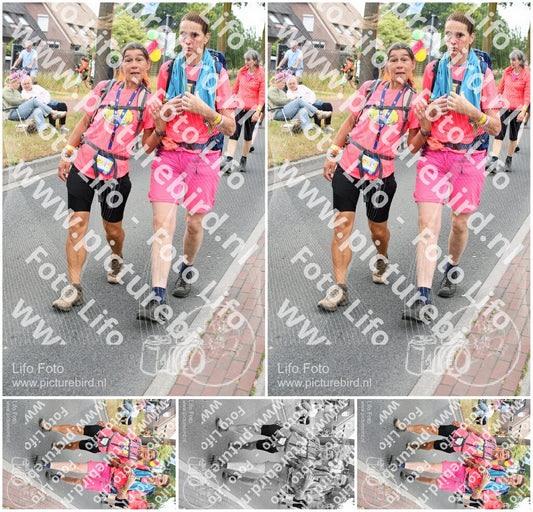 Evenement foto: Nijmeegse Vierdaagse 672