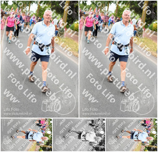 Evenement foto: Nijmeegse Vierdaagse 672