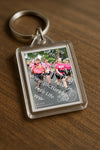 Evenement foto: Nijmeegse Vierdaagse 672