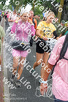 Evenement foto: Nijmeegse Vierdaagse 672