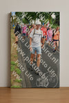 Evenement foto: Nijmeegse Vierdaagse 672