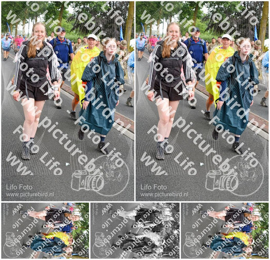 Evenement foto: Nijmeegse Vierdaagse 672