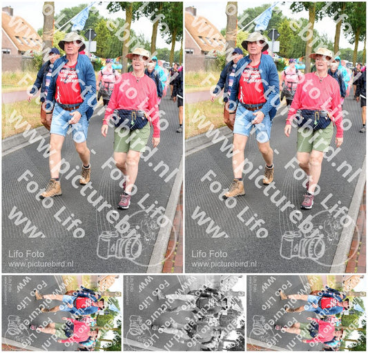 Evenement foto: Nijmeegse Vierdaagse 672