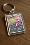 Evenement foto: Nijmeegse Vierdaagse 672