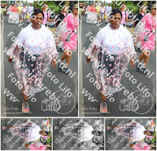 Evenement foto: Nijmeegse Vierdaagse 672