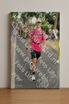 Evenement foto: Nijmeegse Vierdaagse 672